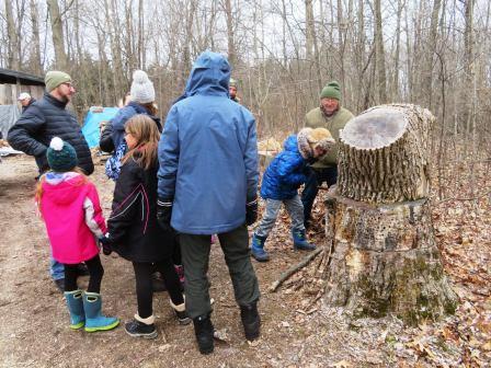 Maple Syrup Family Day - Tapping a tree
